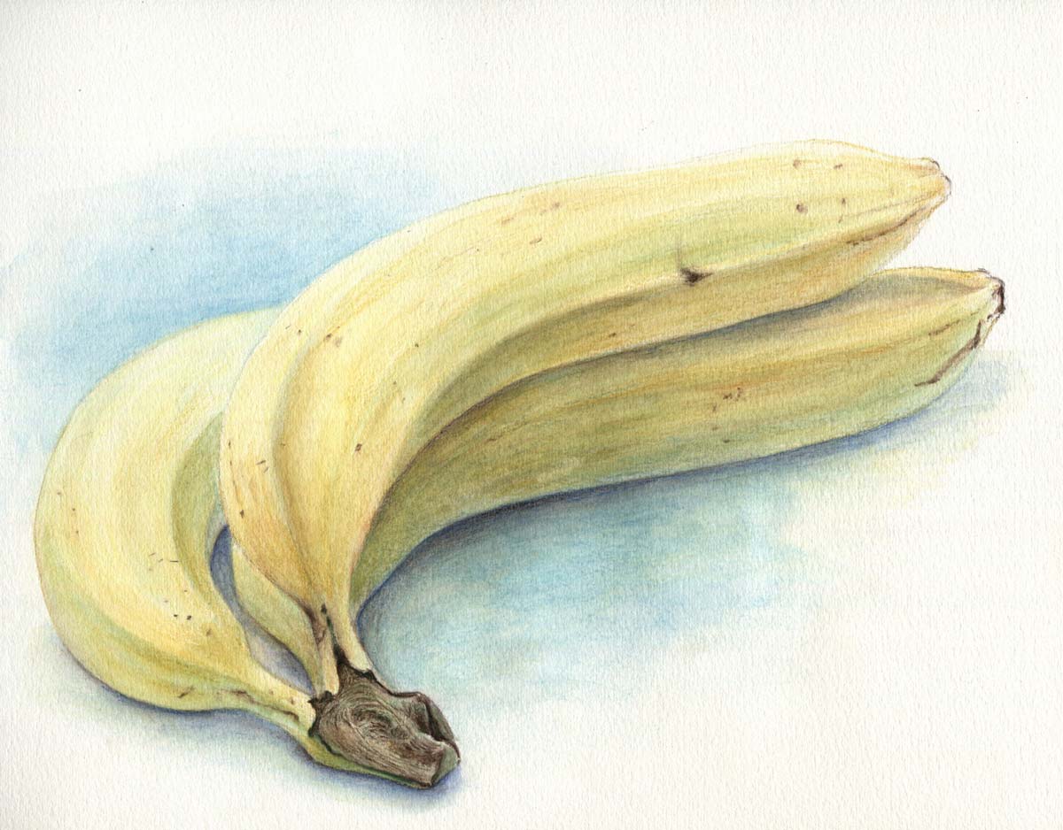 食べ物の色鉛筆画（バナナ）