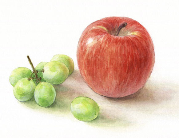 透明水彩で描くリンゴとブドウ 横浜のアートスタジオ Sissi シシ
