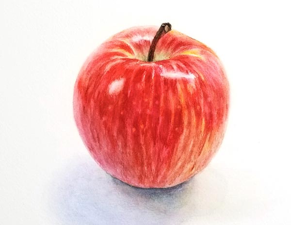 描き方ガイド 水彩色鉛筆で描くリンゴ 横浜のアートスタジオ Sissi シシ